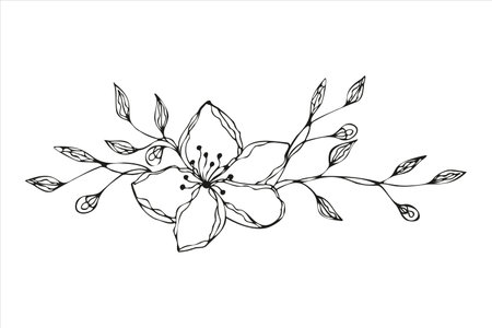 Flower doodle hand drawn, floral ornament. Vector illustrationのイラスト素材