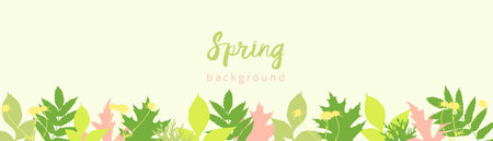 Spring background horizontal with bright young spring leaves. Vector illustrationのイラスト素材