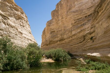 A canyon with Ein Avdat in the backgroundの写真素材