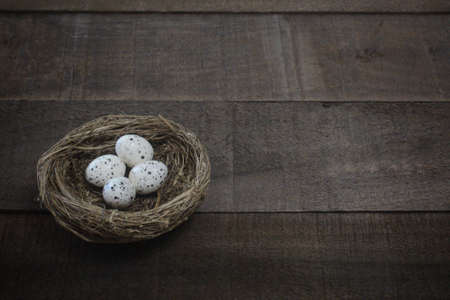 Small bird nest with four black and white speckled eggs on dark wood.の写真素材