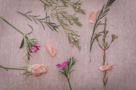 Pink baby roses and wildflowers on soft pink fabric.の写真素材