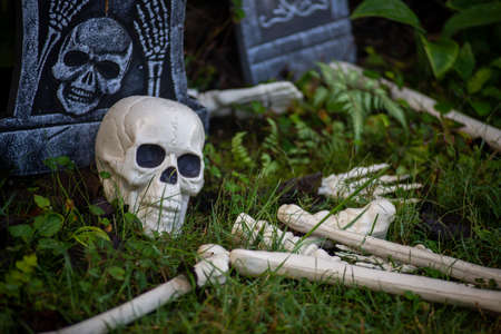 A display of tombstones and skull and bones in a yard at Halloween.の写真素材