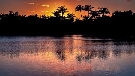 Beautiful sunset over the ocean with palm trees and reflection in waterの写真素材