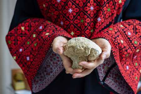 A Palestinian woman holds a stone in her hands, which represents the only weapon to resist the occupationの写真素材