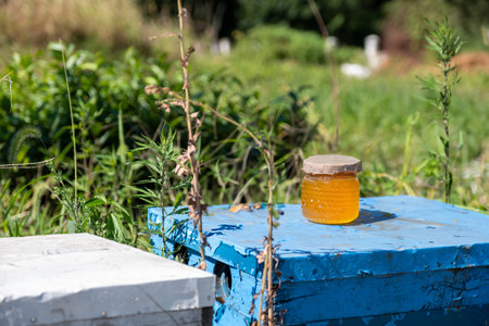Honey jars under the sun in front of greens in farm with bee hiveの写真素材