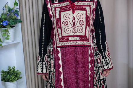 Female wearing palestinian traditional clothes indoorの写真素材