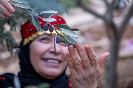 Portrait Of woman wearing palestinian traditional clothes in olive trees field holding branch in her hand with smile on her faceの写真素材