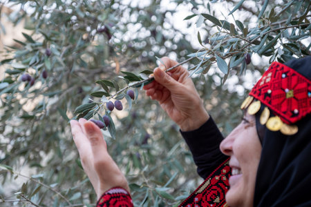 Portrait Of woman wearing palestinian traditional clothes in olive trees field holding branch in her hand with smile on her faceの写真素材