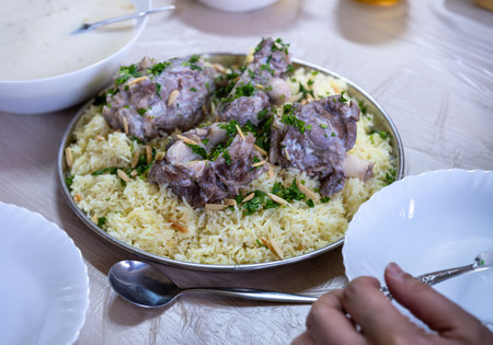 mansaf and jameed served on table, with copy spaceの写真素材