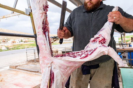 butchery selling fresh meat from hanging lamb outdoorの写真素材