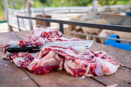 Muslim man butchers trimming a Sheep to be distributed to muslims in needs during Eid Al-Adha Al Mubarakの写真素材