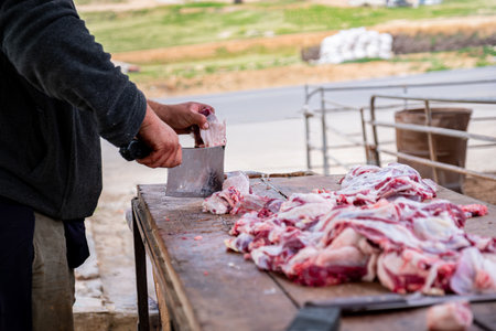 Skillful man holding huge knife outdoor putting meat on wooden board with green background of natureの写真素材