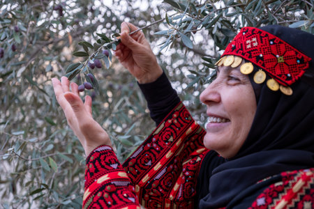 Portrait Of woman wearing palestinian traditional clothes in olive trees field holding branch in her hand with smile on her faceの写真素材