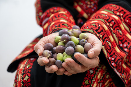 Palestinian female holding olives in her handsの写真素材