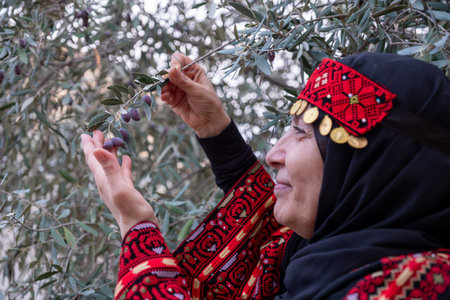 Portrait Of woman wearing palestinian traditional clothes in olive trees field holding branch in her hand with smile on her faceの写真素材