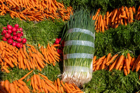 A diverse selection of freshly harvested root vegetables meticulously arranged and ready for purchaseの写真素材