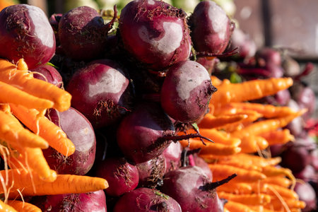 A diverse selection of freshly harvested root vegetables meticulously arranged and ready for purchaseの写真素材
