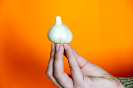 Hands holding small garlic with orange backgroundの写真素材