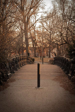 A bridge in a park at sunsetの写真素材