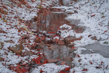 Stream running through a snowy forest