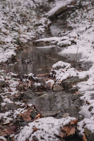 Stream running through a snowy forestの写真素材