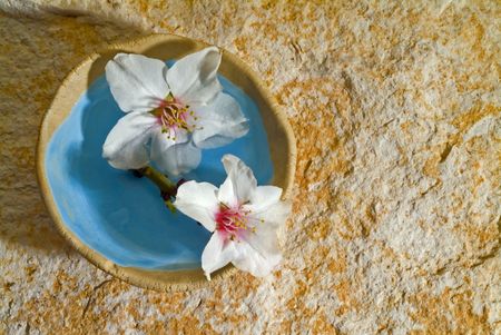 almond flowers in a small bowl on stone backgroundの写真素材