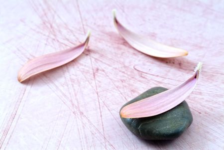 stones and flower petals