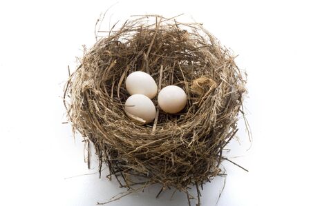 bird's nest with three eggs isolated on whiteの写真素材