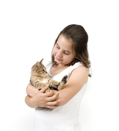 little girl holding a kitten isolated on whiteの写真素材