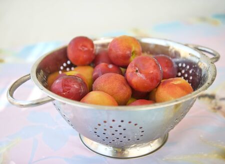Wet nectarines in a rinse strainer in selective focusの写真素材