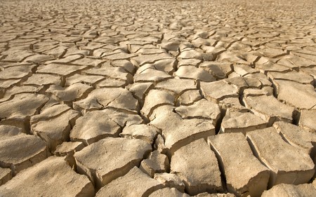 cracked soil pattern in the Zin valley, Arava, Israel.の写真素材