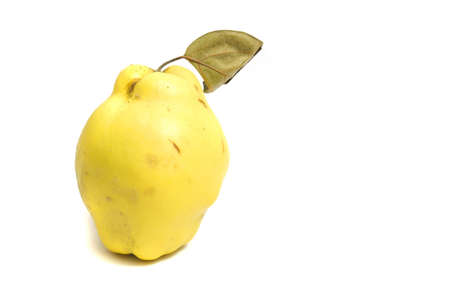 close up on a fresh scented quince, isolated on whiteの写真素材