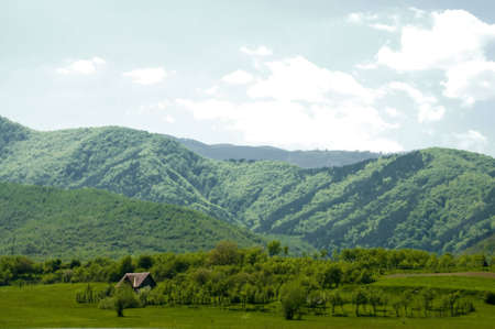 small family house in the middle of the forrestの写真素材