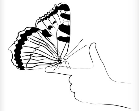 Butterflyのイラスト素材