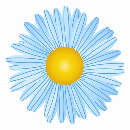 Flower on white backgroundのイラスト素材