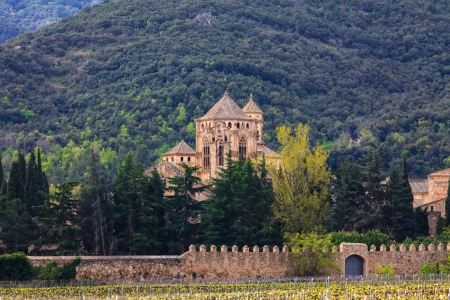 monastery Santa Maria de Poblet, Spain 