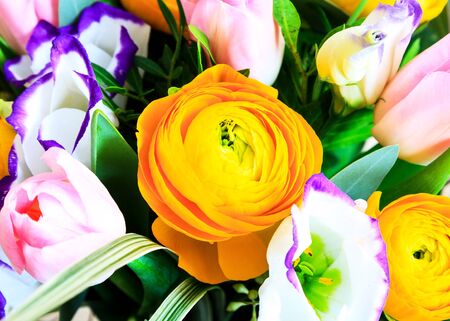 Flower backgroundの写真素材