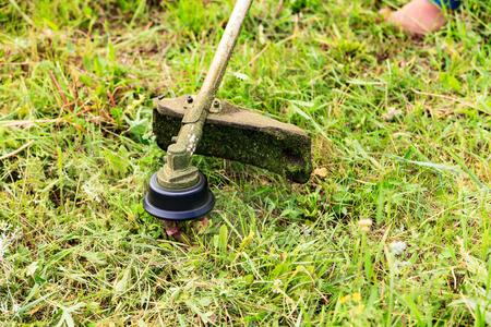 Closeup shot of the gardener cutting grass with lawn mower.