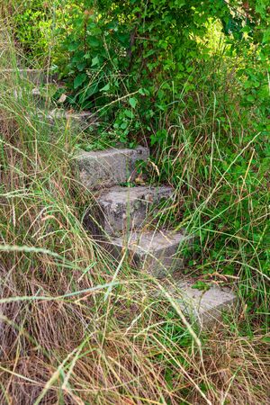 The old concrete stairs hiding in a grassの写真素材