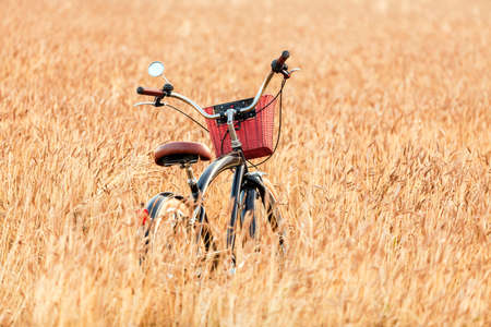 Bicycle standing in a field among wheat ears