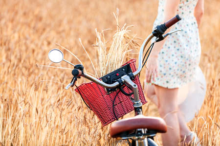 Woman and bicycle are standing in a field among wheat ears.