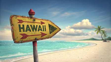 discover hawaii beach paradise with turquoise ocean white sand palm trees and tropical sky perfect for travel vacation tourism relaxation and scenic island escapeの素材