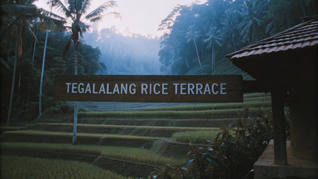 Experience the breathtaking beauty of Tegalalang Rice Terrace in Bali, Indonesia. Lush green paddies cascade down hillsides, creating a stunning and tranquil landscape often shrouded in a soft morning mist. A must-see destination for travelers.の素材