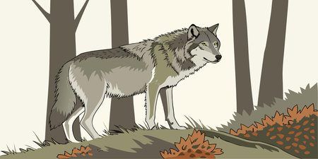 A digital illustration of a watchful gray wolf standing alert in a forest setting with autumn...