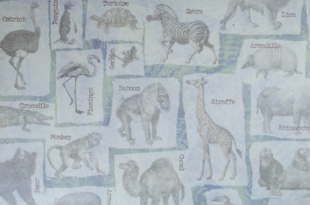 Blue gray background with animalsの写真素材