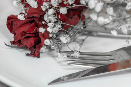 Lovers meal, Valentine's Day, wedding proposal, head to head