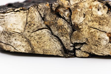 Macrophotography of an artisan black bread with charcoal cereals and dried fruits - Photo studio on...