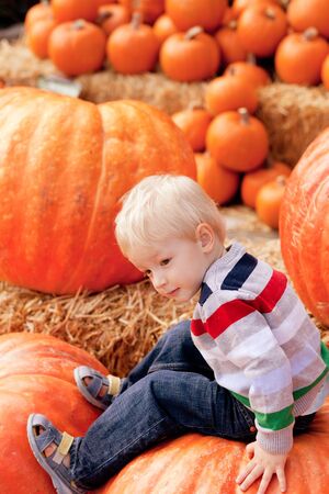 playful caucasian toddler sitting on the huge pumpkinの写真素材