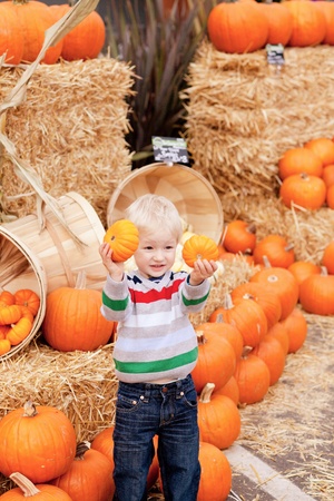 adorable caucasian toddler showing two small pumpkins の写真素材