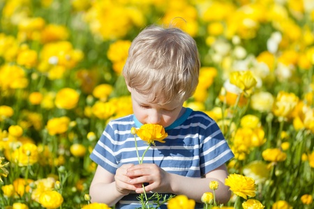 adorable caucasian boy smelling flowersの写真素材